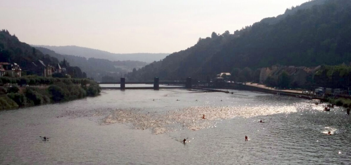 Heidelbergman 2014 Schwimmen